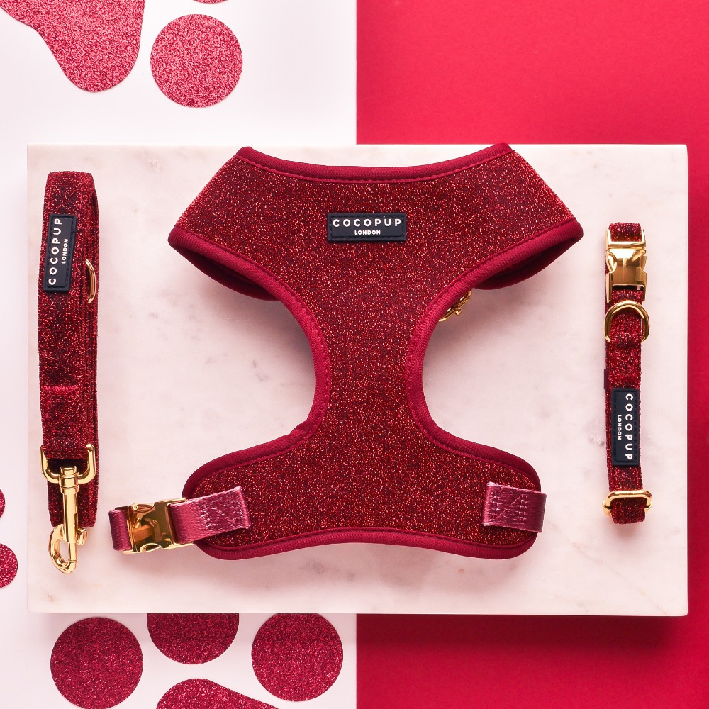 Limited Edition Burgundy Sparkle Pup Adjustable Neck Harness, Lead & Collar Bundle