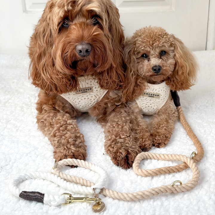 Double Ended Rope Lead - Cappuccino