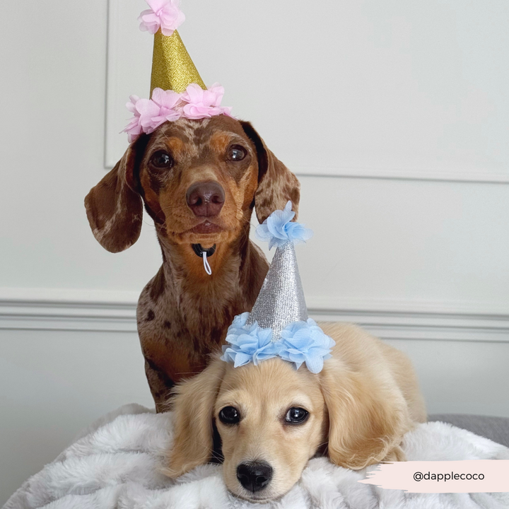 Dog Party Hat - Pink