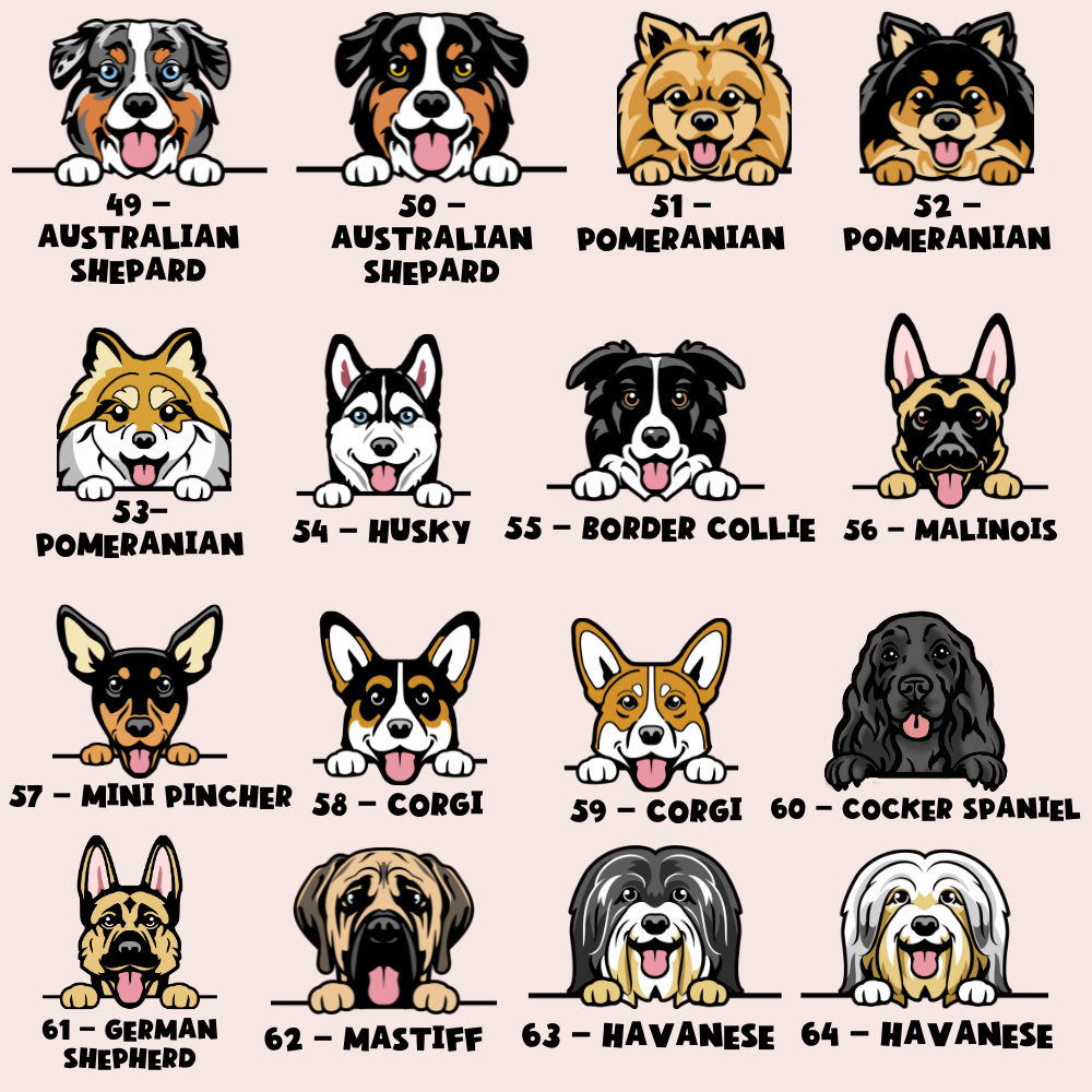 Personalised Dog Cartoon ID Tag - Daisy Chain