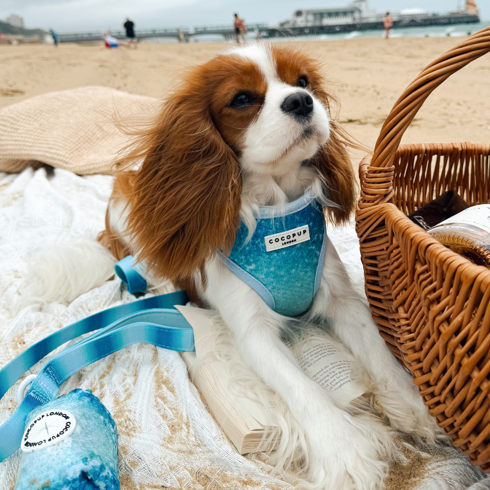 Seaside Shimmer Adjustable Neck HARNESS