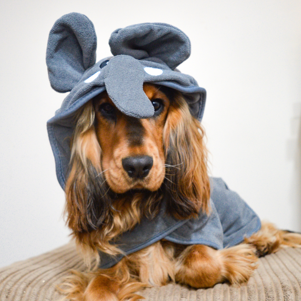 Elephant costume for large dog online