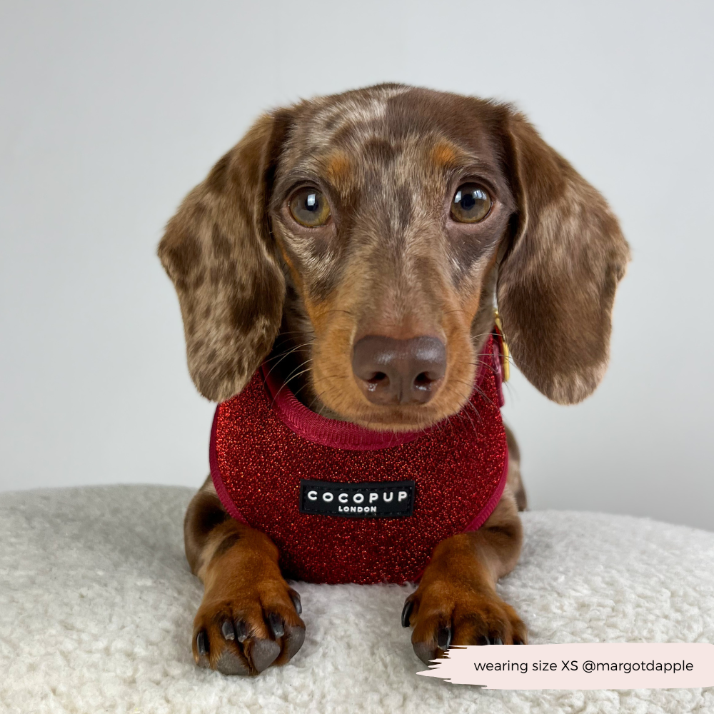 Limited Edition Burgundy Sparkle Pup Adjustable Neck Harness