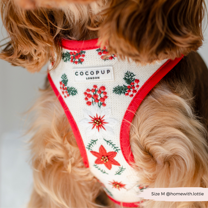 LUXE Embroidered Frosty Flower Harness