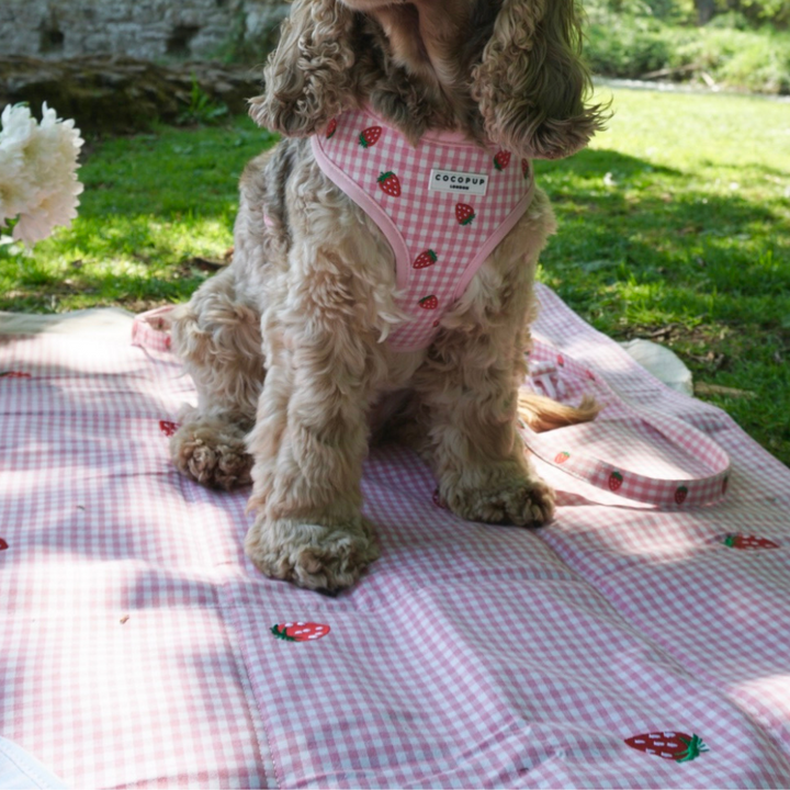 Travel Mat - Strawberry Picnic Pup