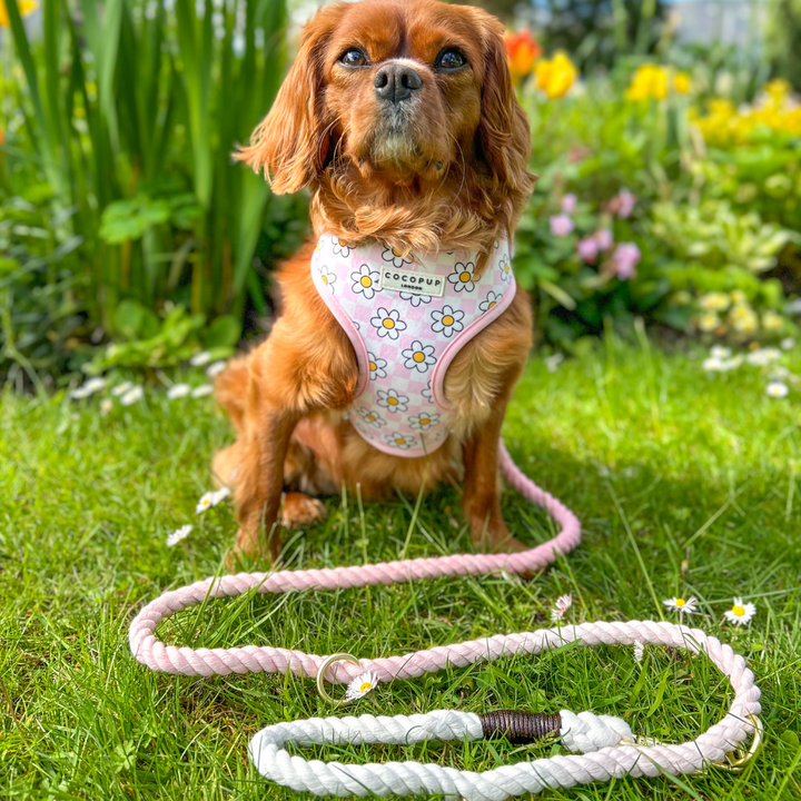 Double Ended Rope Lead - Baby Pink