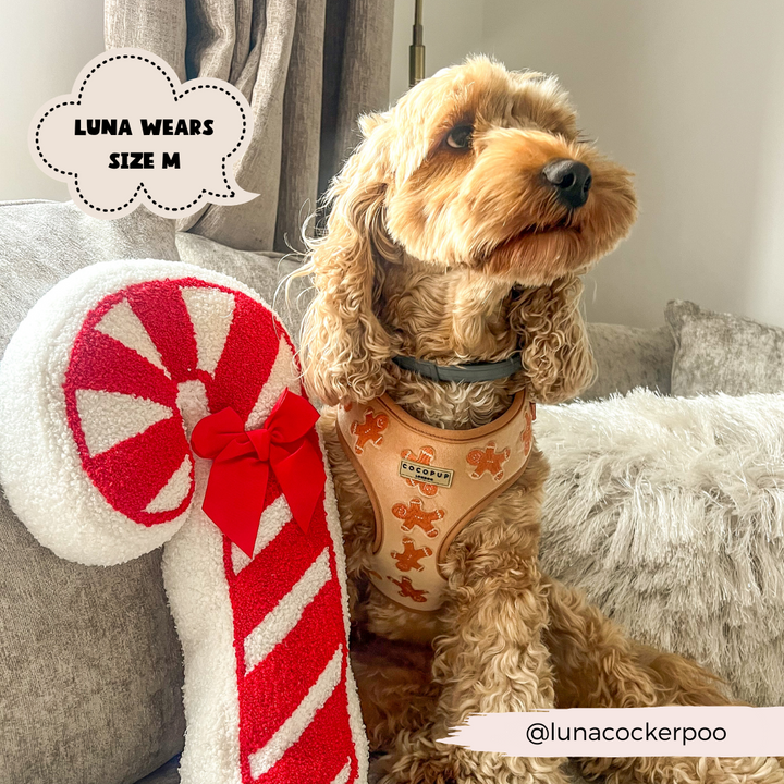 Luxe Velvet Adjustable Neck Harness - Gingerbread Treats