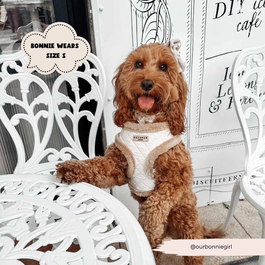Cream Quilted Adjustable Neck Dog Harness Cocopup London