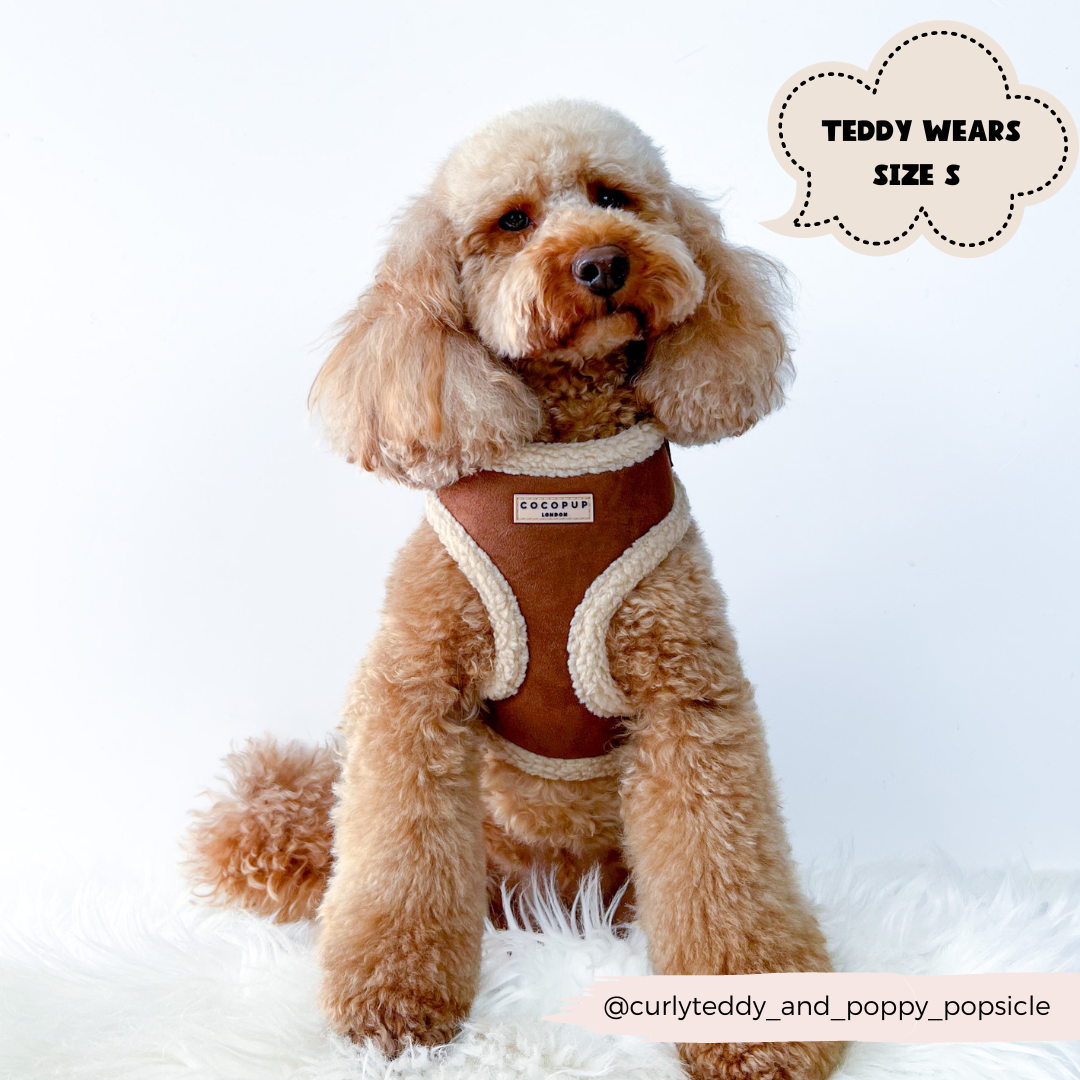 Brown Aviator Adjustable Neck Dog Harness | Cocopup London Brown Aviator Adjustable Neck Dog Harness | Cocopup London
