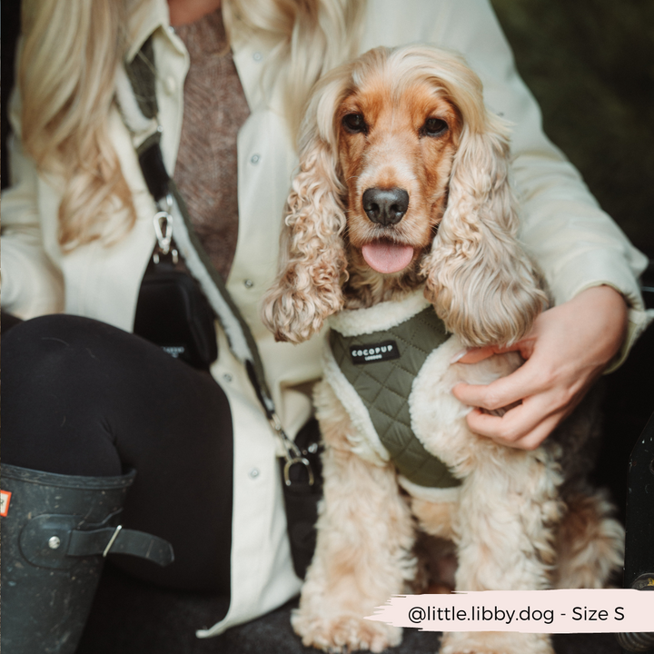 Khaki Quilted Adjustable Neck Harness, Lead & Collar Bundle