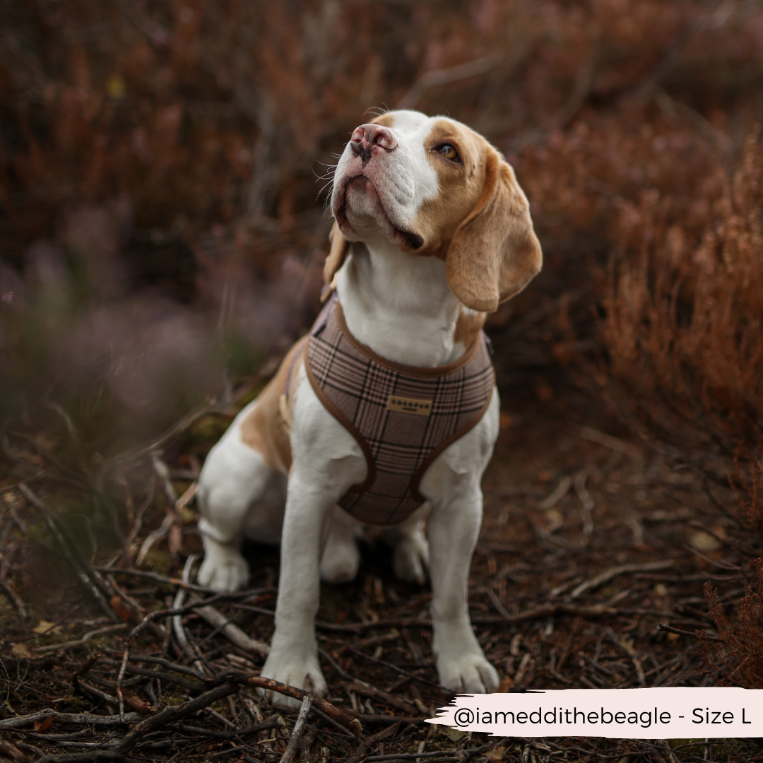 Pup Plaid Adjustable Neck Dog Harness Cocopup London