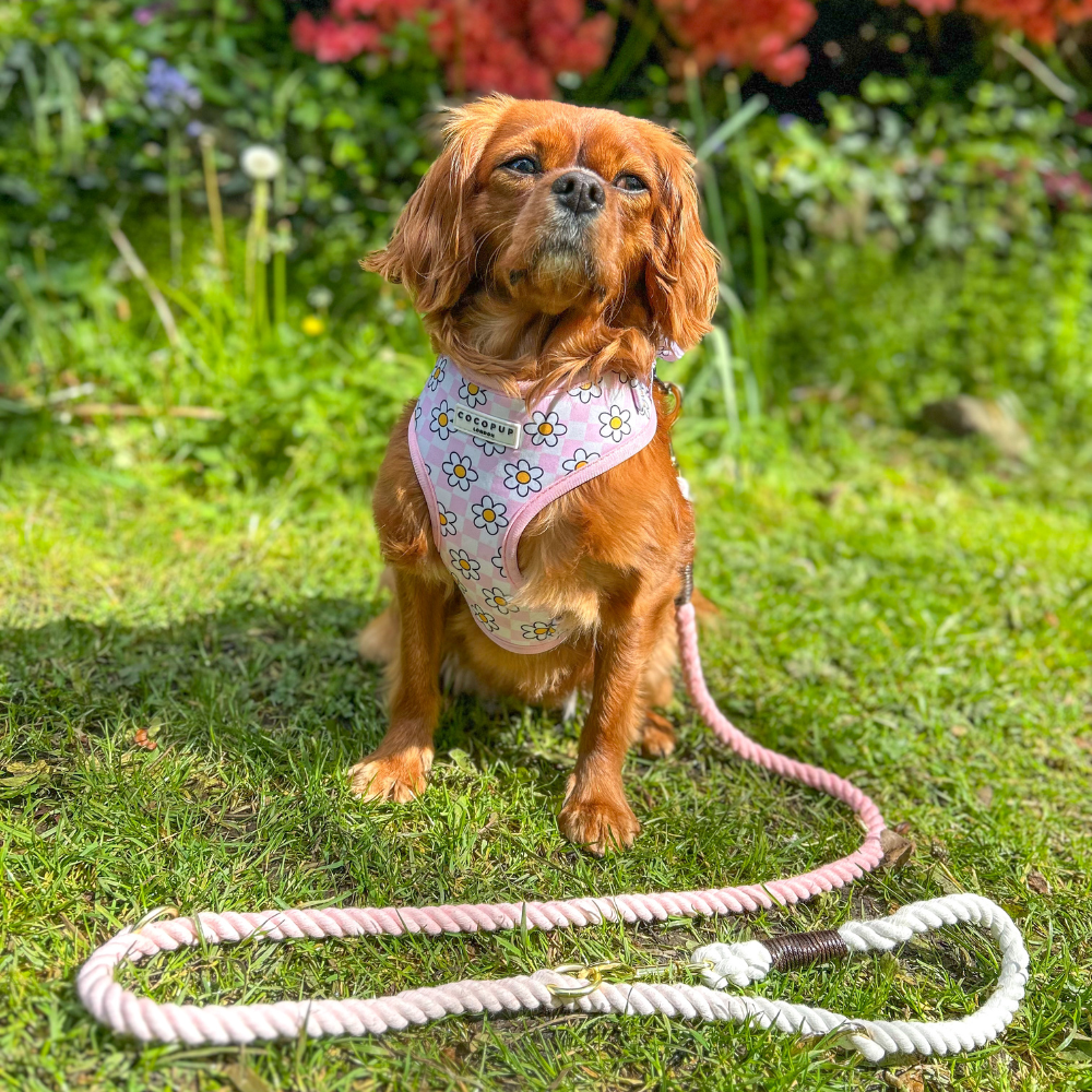 Double Ended Rope Lead - Baby Pink