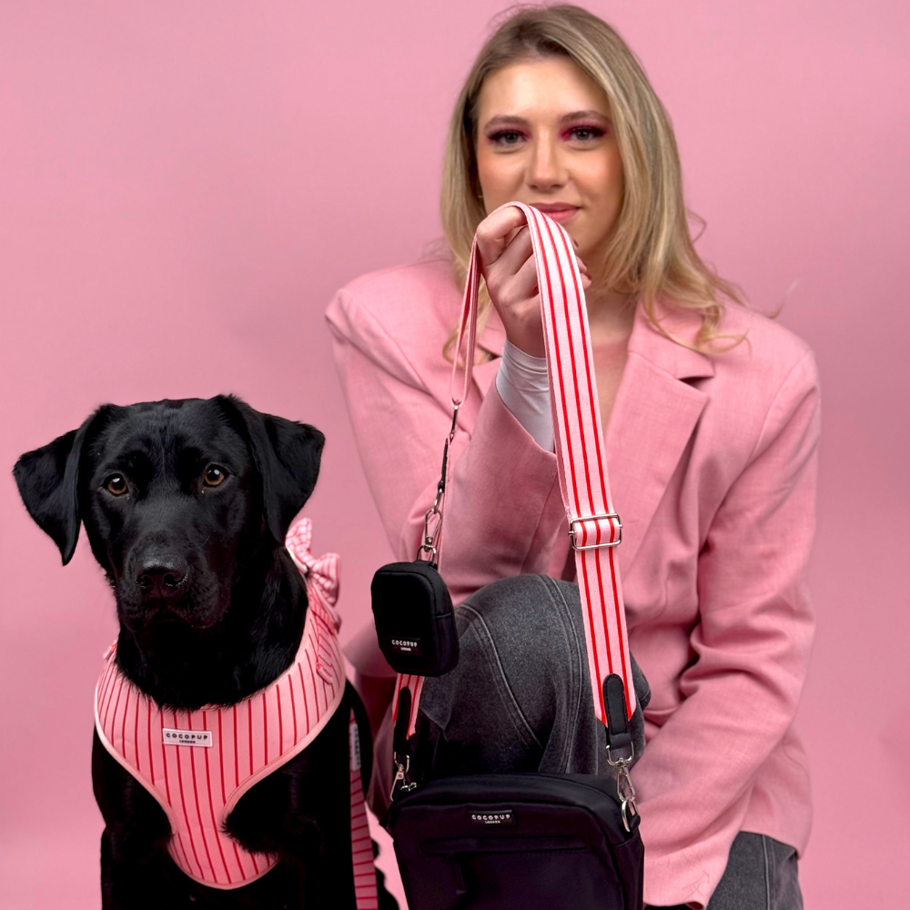 Dog Walking Bag Bundle - Candy Stripe