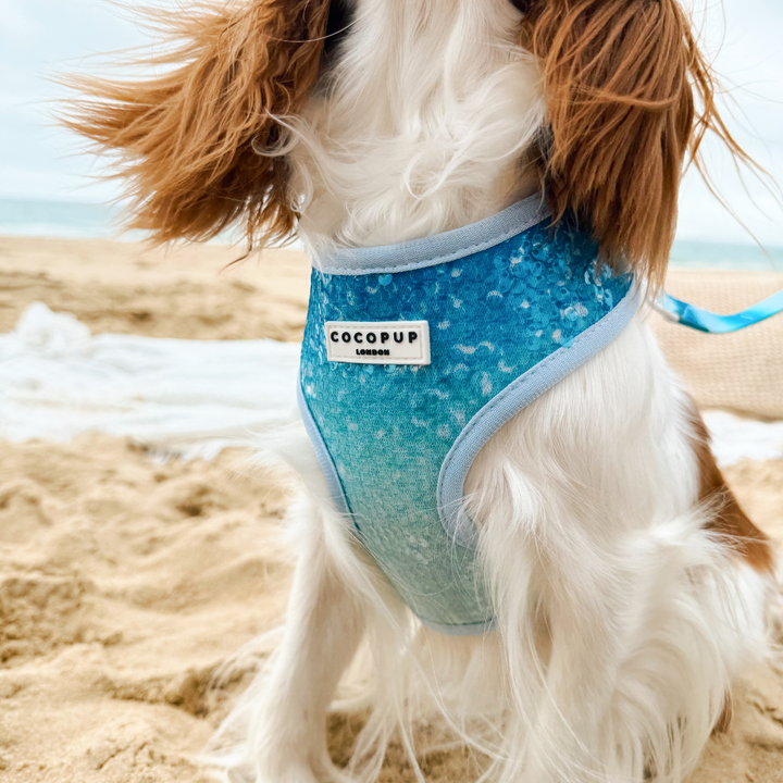 Seaside Shimmer Adjustable Neck HARNESS