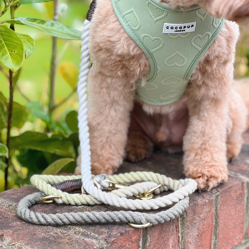 Double Ended Rope Lead - Pistachio Green