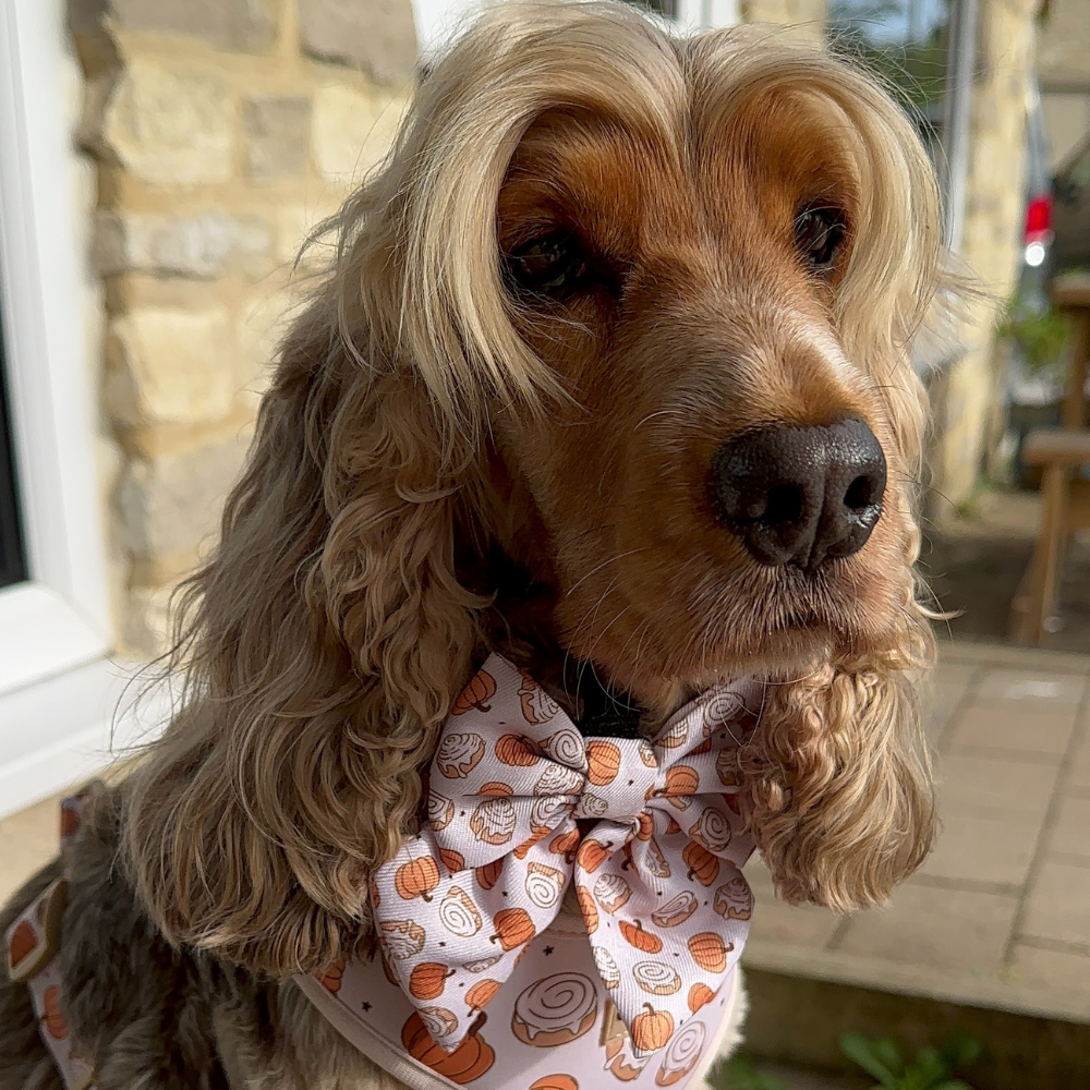 Cinnamon Buns Sailor Bow Tie