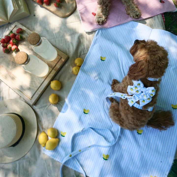 PERSONALISED Blanket - Living La Vida Lemon