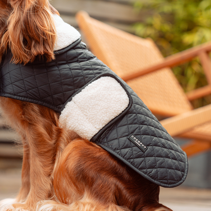 LUXE Quilted Dog Coat - Midnight Black