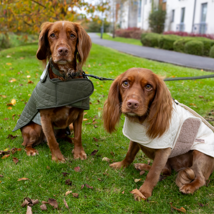 LUXE Quilted Dog Coat - Country Khaki