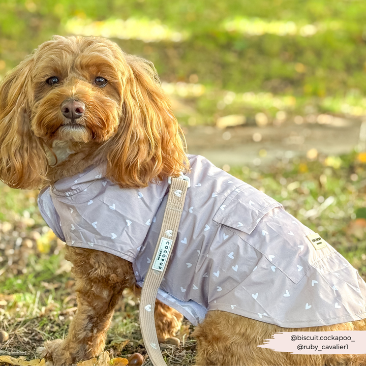 Dog Raincoat - Chai Hearts