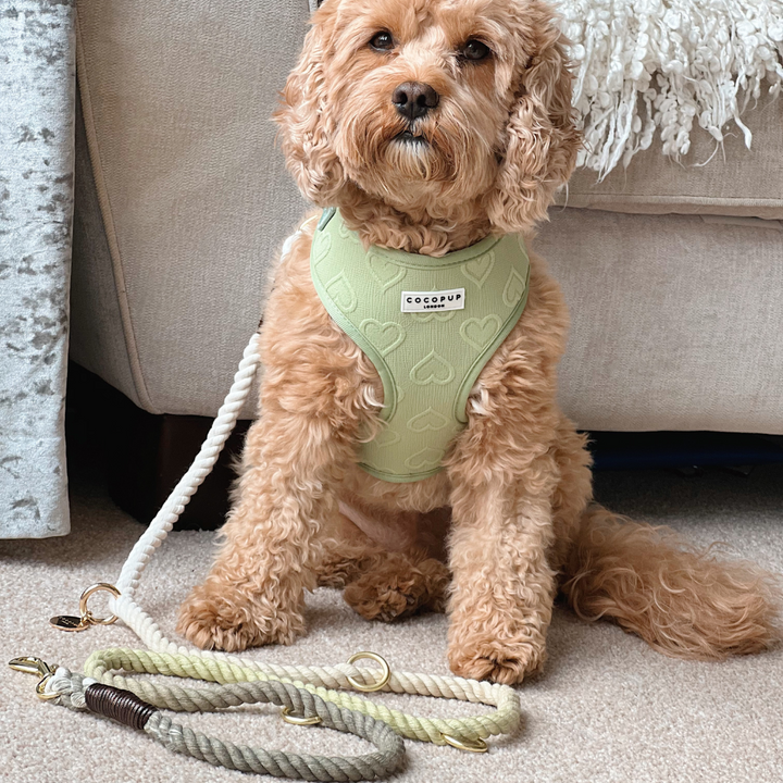 Double Ended Rope Lead - Pistachio Green