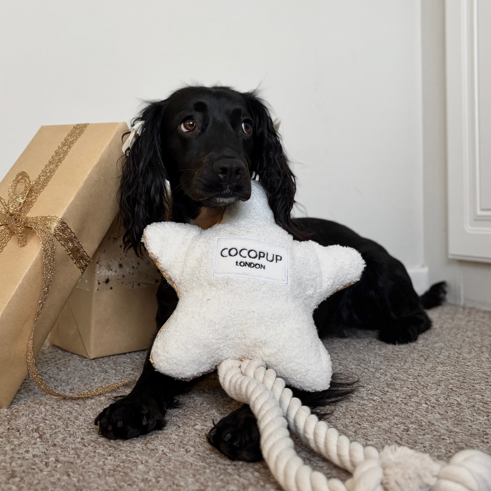 Star Cosy Dog Toy