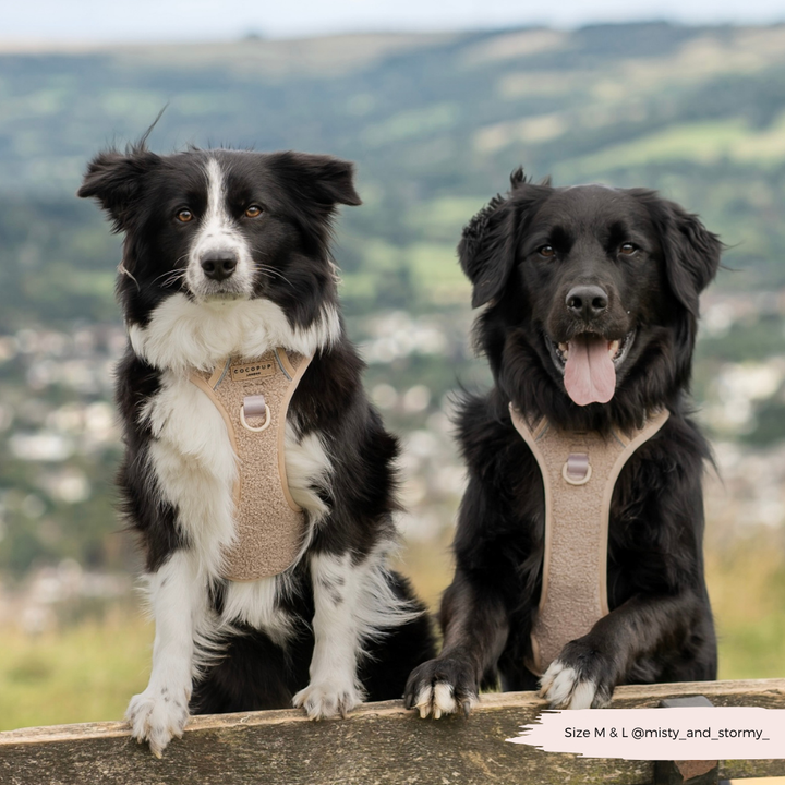 Dog Walking Bag - Nude Cord