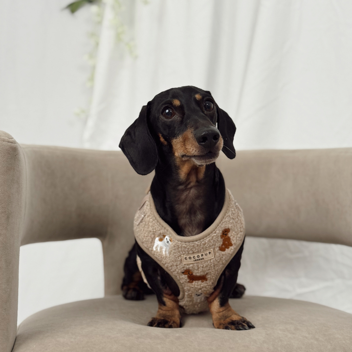 Ralph & Friends Mocha Teddy Adjustable Neck HARNESS