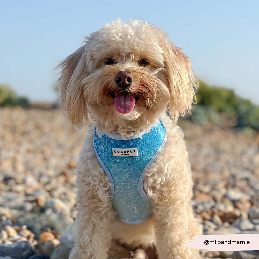 Seaside Shimmer Adjustable Neck HARNESS