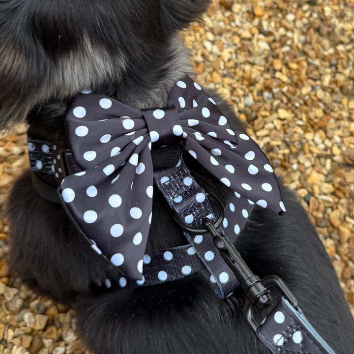 Satin Polka Dot Sailor Bow Tie