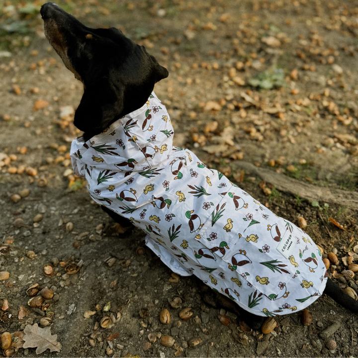 Dog Raincoat - Puddle Pup