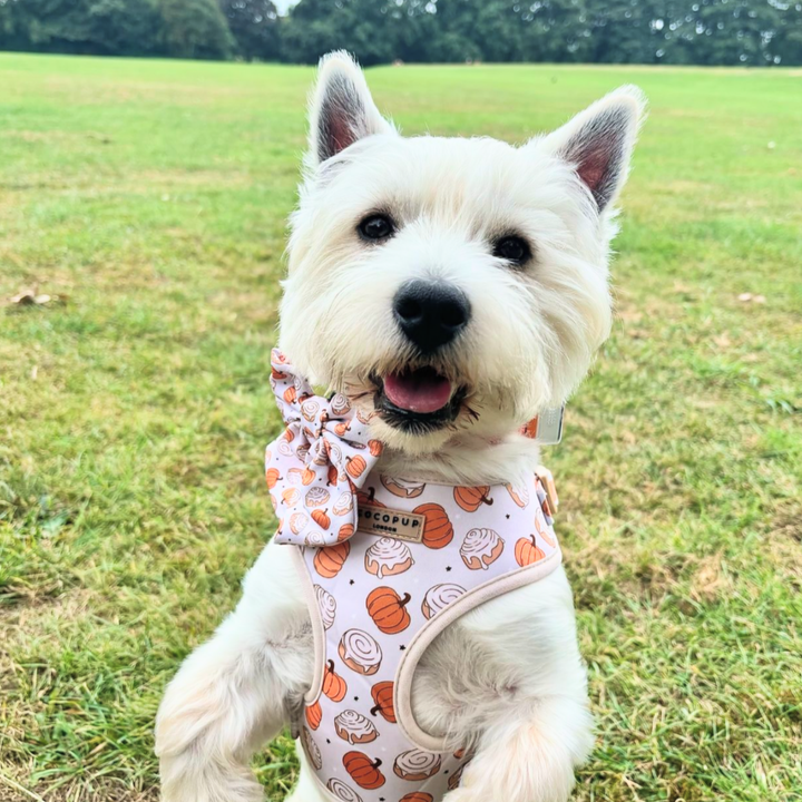 Cinnamon Buns Sailor Bow Tie