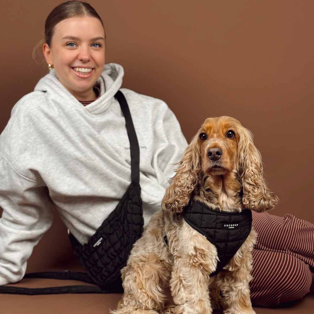 Onyx Quilted Adjustable Neck Harness, Lead & Collar Bundle