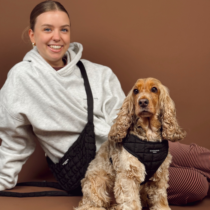 Onyx Quilted Adjustable Neck Harness, Lead & Collar Bundle