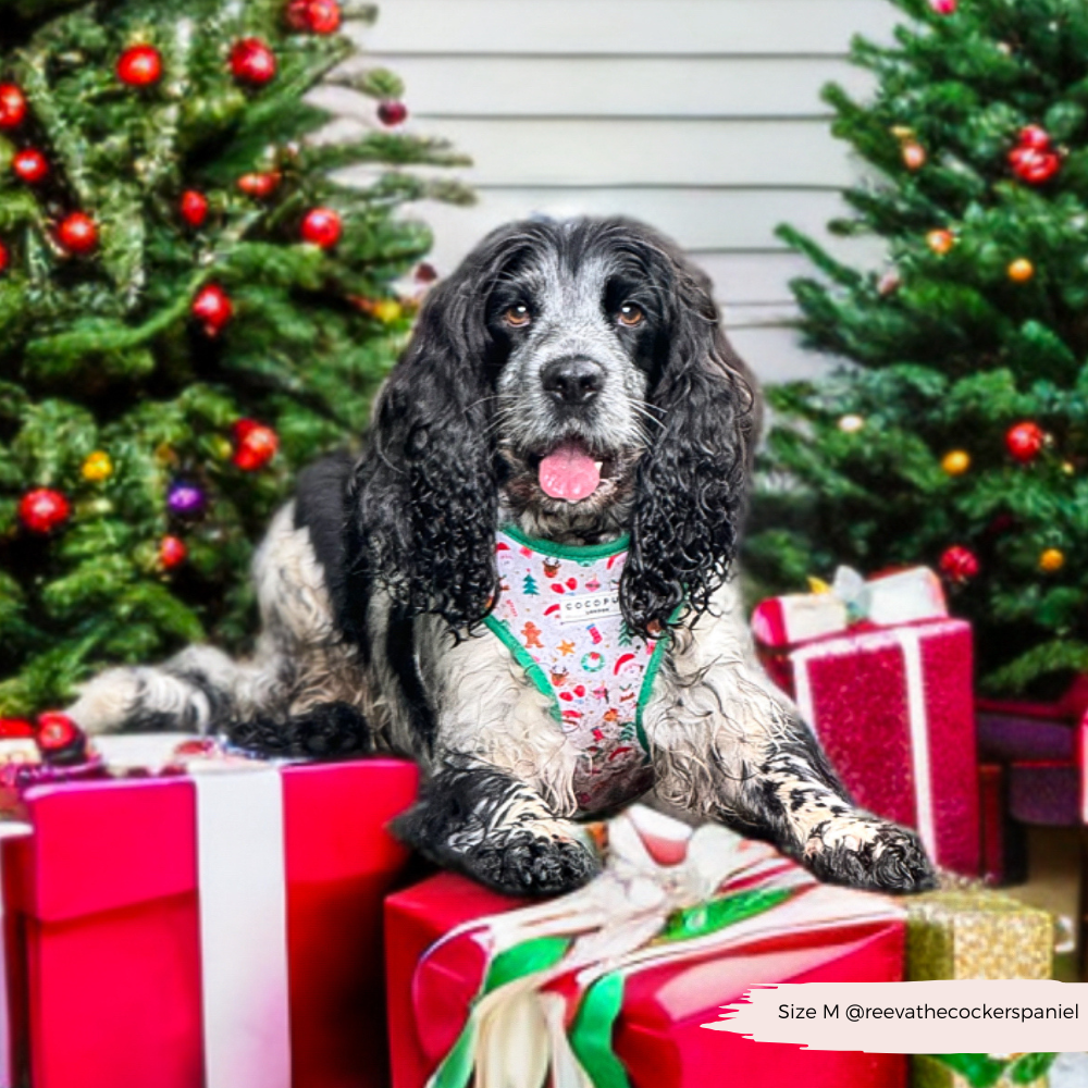 Christmas Pawty Adjustable Neck Harness, Lead & Collar Bundle