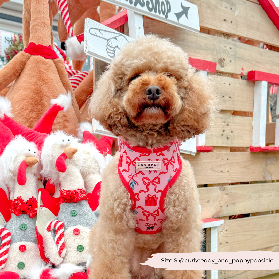 Pupmas Kisses Adjustable Neck Harness