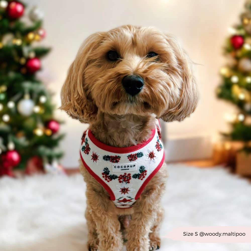 LUXE Embroidered Frosty Flower Harness