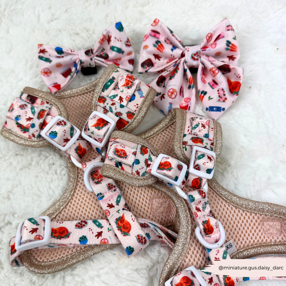 Cracking Christmas Dinner Adjustable Neck HARNESS