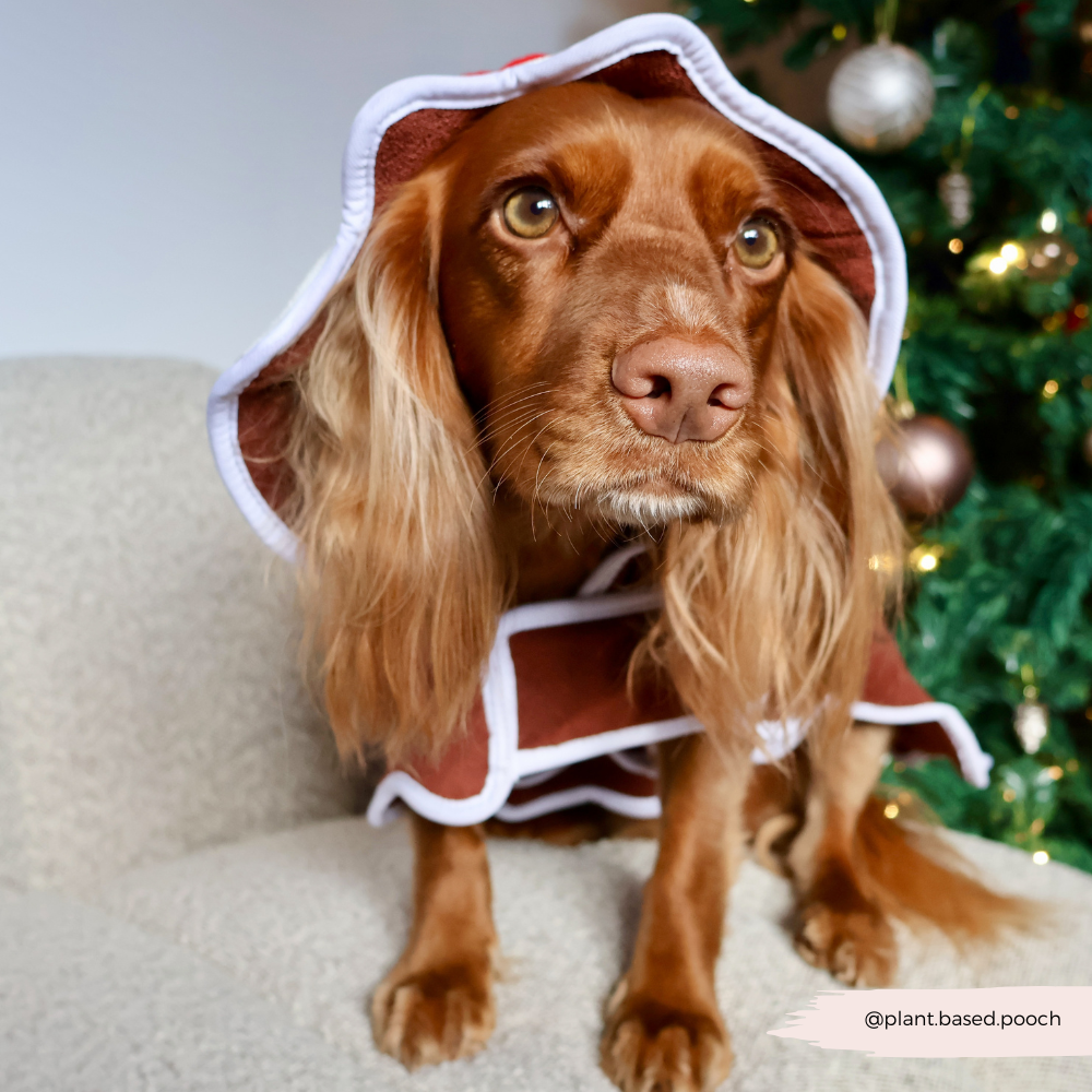 Christmas Pudding Drying Robe