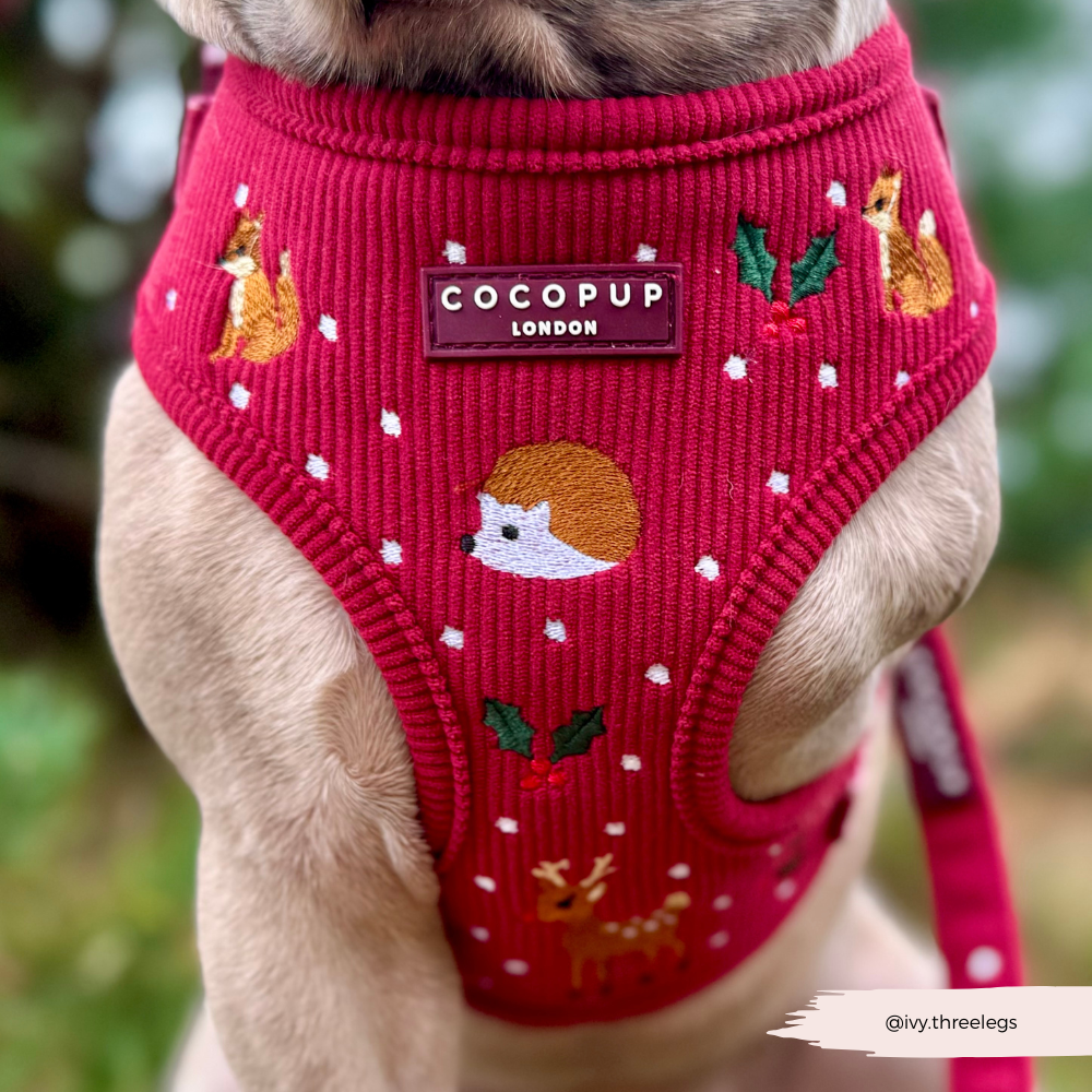 Holly Jolly Trails Adjustable Neck HARNESS