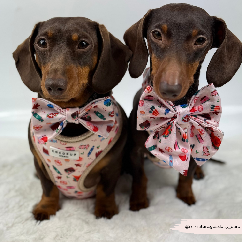 Cracking Christmas Dinner Adjustable Neck HARNESS