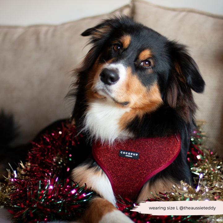 Limited Edition Burgundy Sparkle Pup Adjustable Neck Harness