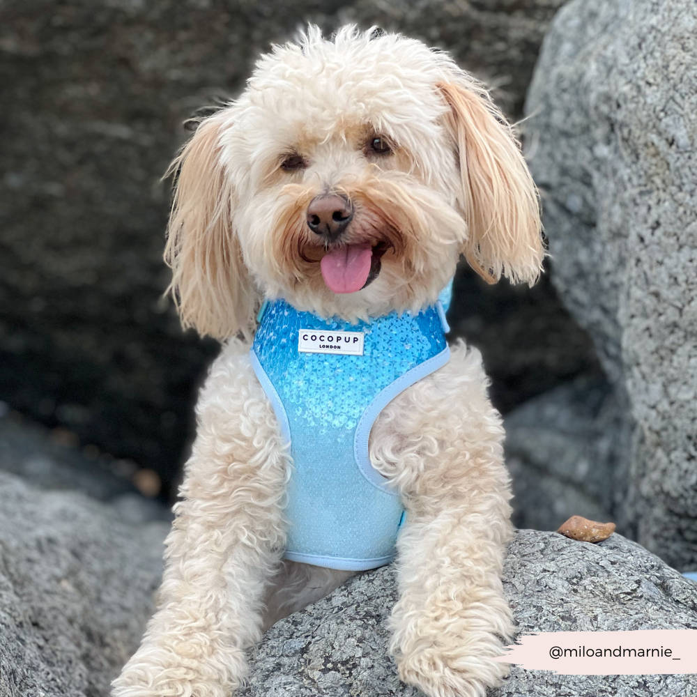 Seaside Shimmer Adjustable Neck HARNESS