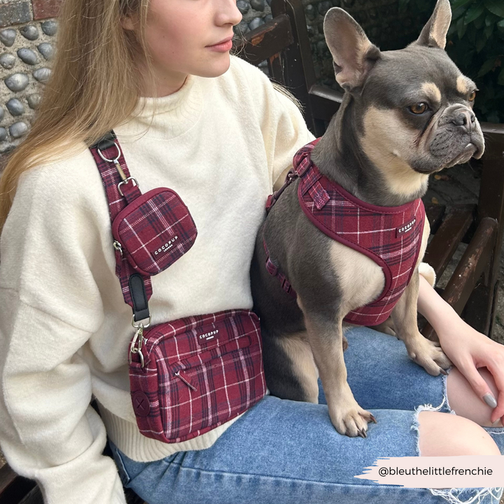 Mulberry Plaid Adjustable Neck HARNESS