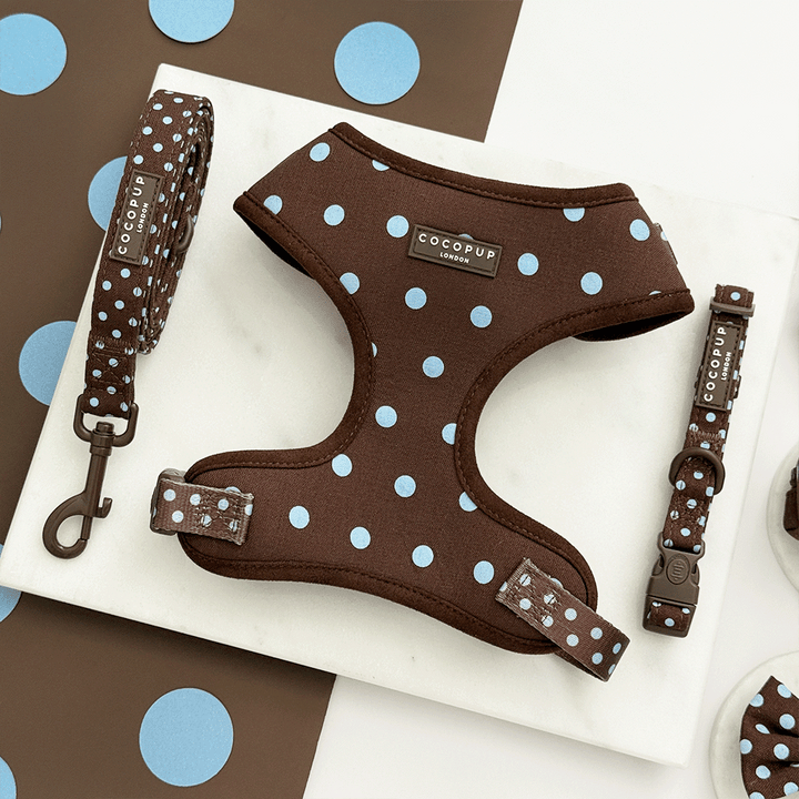 A brown dog harness, lead and collar with light blue polka dot design. Featuring brown hardware.