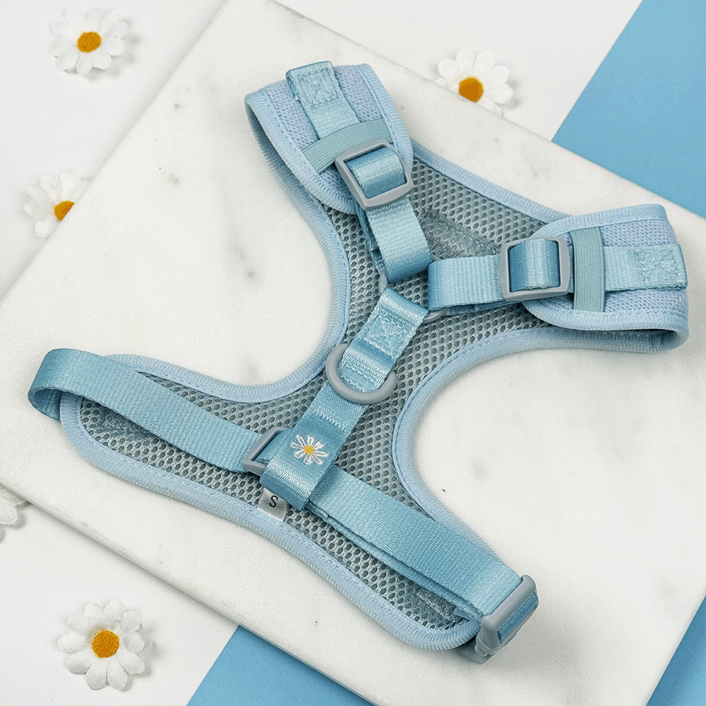 Blue dog Harness with white flower decals.