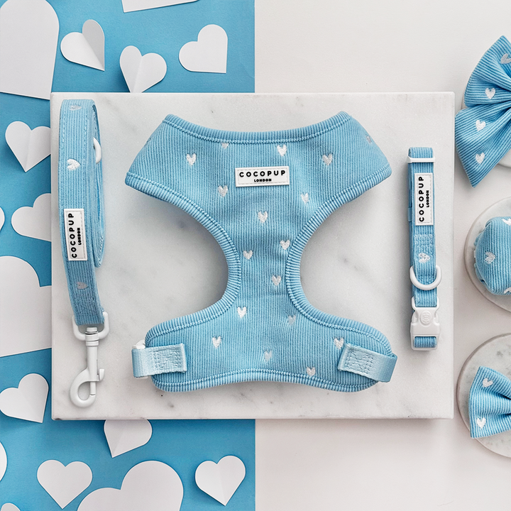 Blue Heartstrings Cord Adjustable Neck Harness, Lead & Collar Bundle