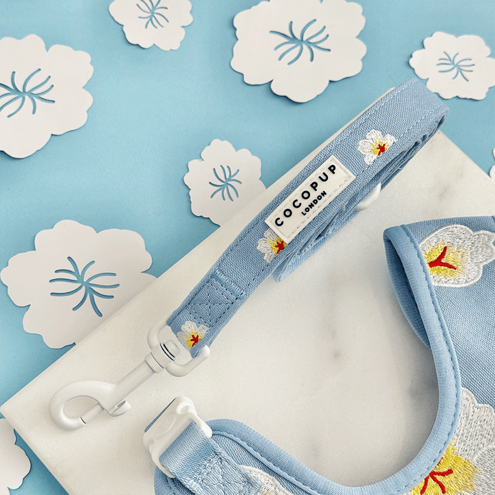 Blue Lagoon Adjustable Neck Harness, Lead & Collar Bundle