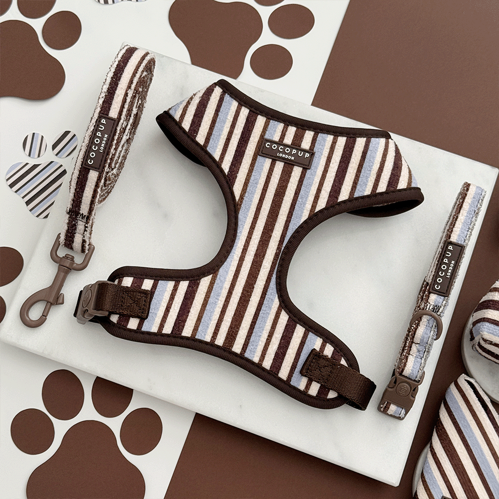 Brown, blue and white striped Dog Harness, Lead & Collar. With brown hardware and Cocopup logo badge.