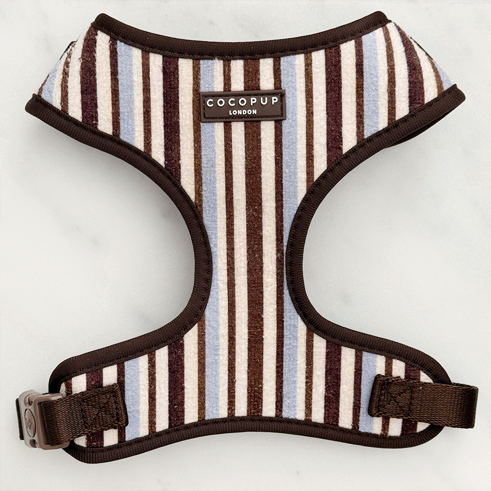 A long-haired dachshund in a striped harness relaxes on a lounge chair next to a person holding a glass.